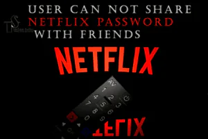 Netflix Password